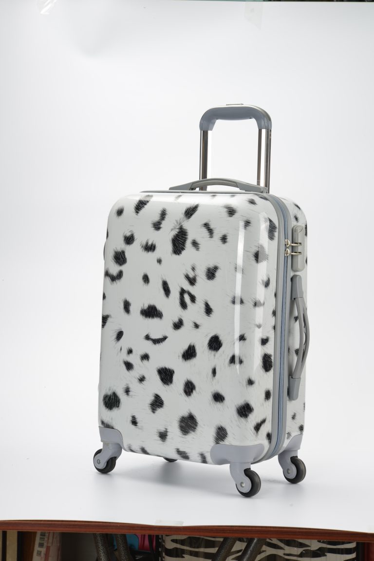 Where can I buy good luggage accessories at a good price in China?